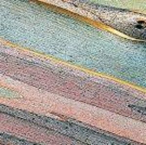 Meet your Posher, Star